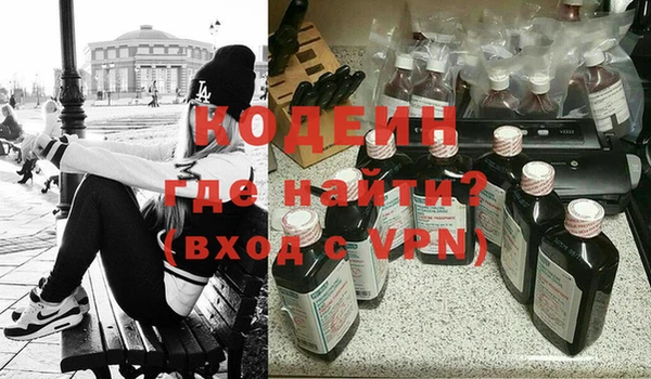 молекула духа Майский