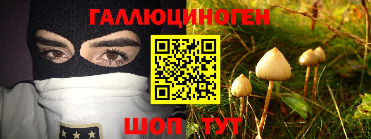 Галлюциногенные грибы Magic Shrooms Кемерово
