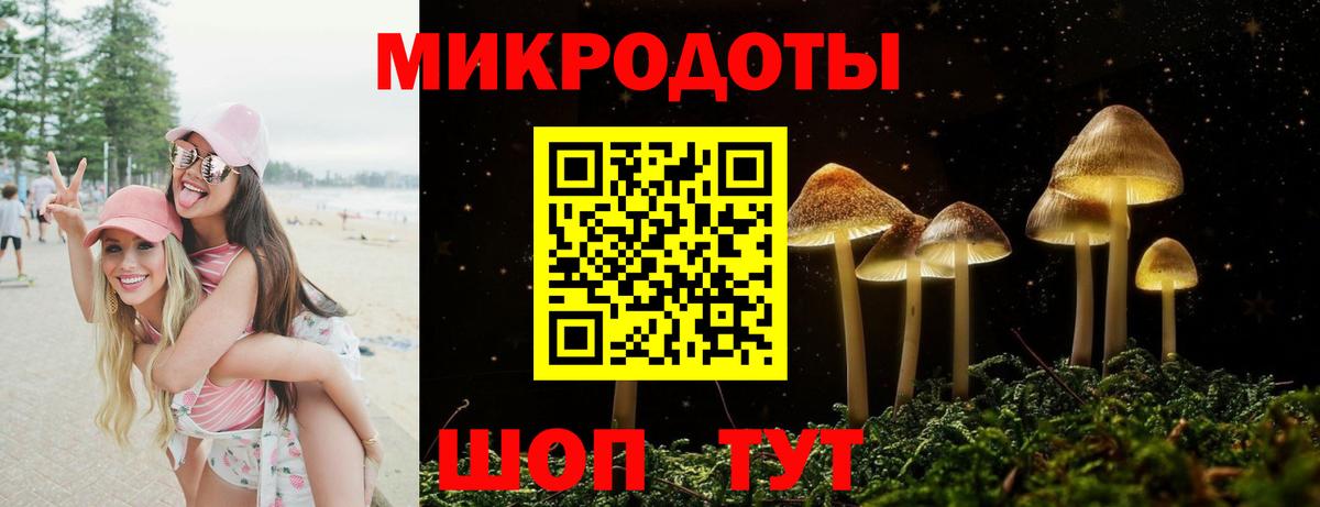 Псилоцибиновые грибы Cubensis  купить наркотики цена  Кемерово 